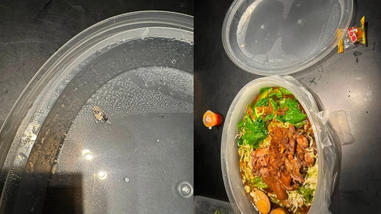 Diner pays $20 for takeaway meal, gets rude service and dried bird droppings inside takeout order