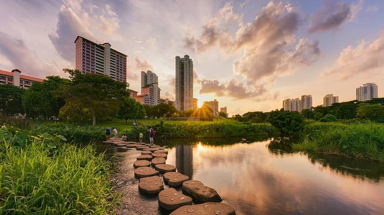 Bishan–Ang Mo Kio Park: The Heartland's Go-To Running Route