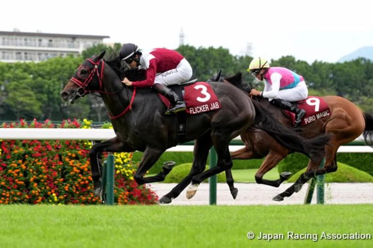 Flicker Jab wins Centaur