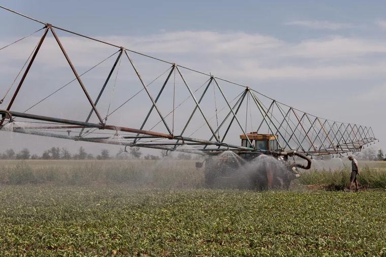 Wars, droughts, trade rows push world food prices to four-year high