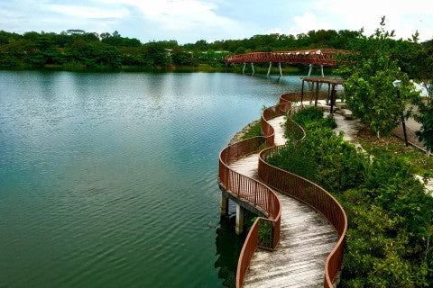 Punggol Waterway Park: The Northeast's Quiet Scenic Run