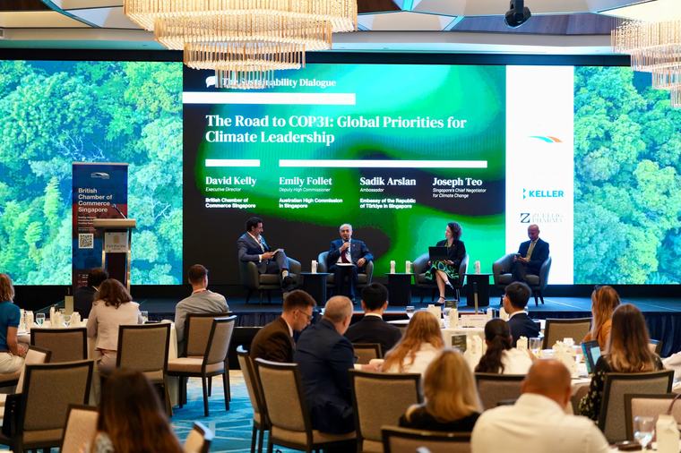Asean can be self-sufficient in energy, food with an integrated market: Singapore’s chief climate negotiator