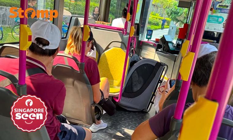 Stomper calls out woman for allegedly blocking ‘entire’ bus aisle with ‘large’ pet wagon