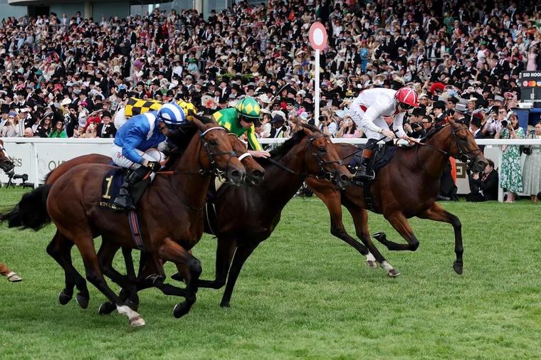 Almeraq to make amends at Haydock
