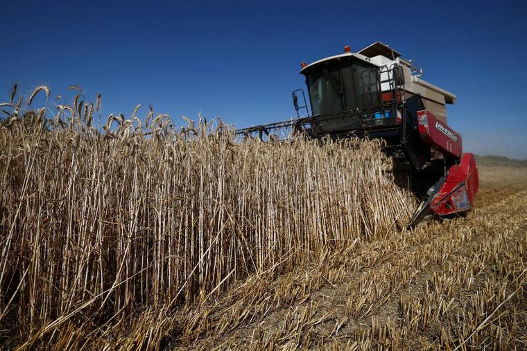 France’s sacred food culture faces an existential reckoning