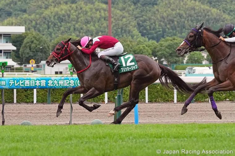 Flicker Jab to land a blow in Hanshin