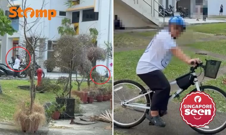 Man caught throwing footwear at community cat in Upper Boon Keng: ‘Blatantly terrorising’ 0
