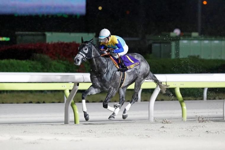 Japan holds the ace with Dragon Welds